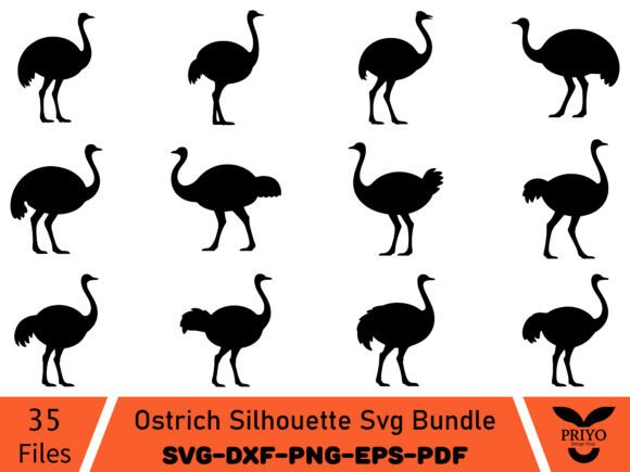 Ostrich Silhouette SVG Bundle